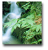 || Weltnaturpark - Plitwitzer Seen